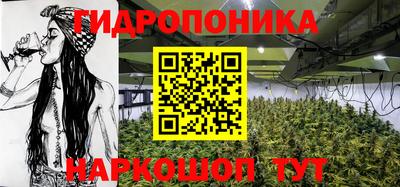 круглые Лесосибирск