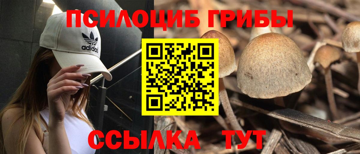 Псилоцибиновые грибы мухоморы  Вход с VPN  Воткинск  Псилоцибиновые грибы Psilocybe 