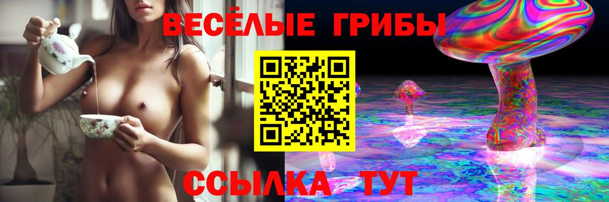 Галлюциногенные грибы Psilocybine cubensis Воткинск